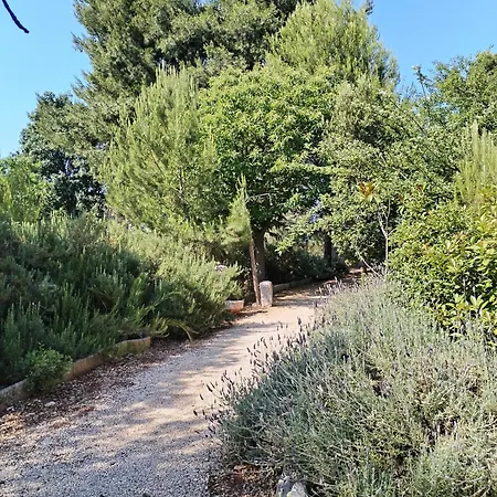 Trulli Con Piscina Privata * Locorotondo