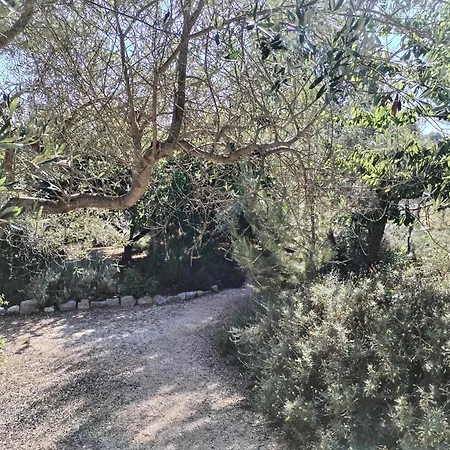 Nyaraló Trulli Con Piscina Privata Locorotondo