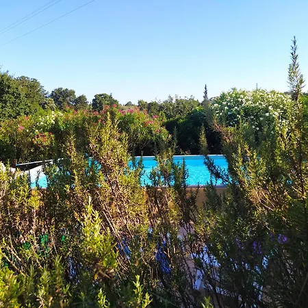 Trulli Con Piscina Privata Сasa de vacaciones