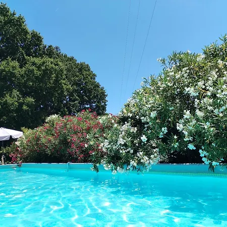 Trulli Con Piscina Privata بيت للعطل لوكوروتوندو