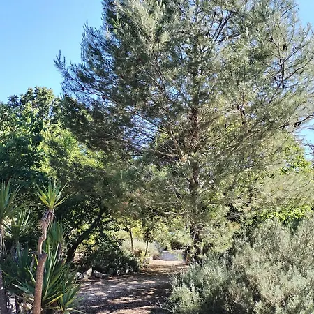 Trulli Con Piscina Privata * Locorotondo
